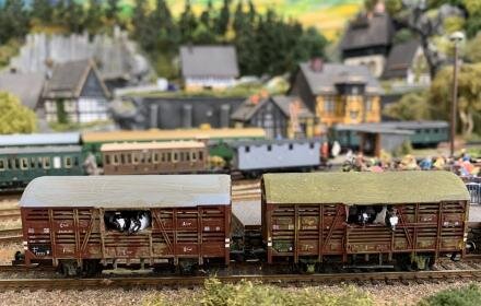 Ausschnitt Modelleisenbahn im Welterbe Montanregion Erzgebirge/Krušnohoří